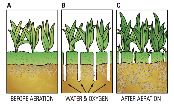 Dayton Aeration Service