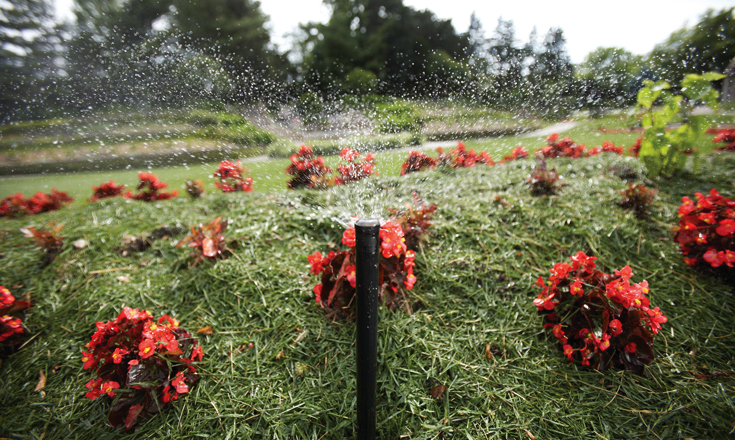 Dayton Irrigation Drip Service